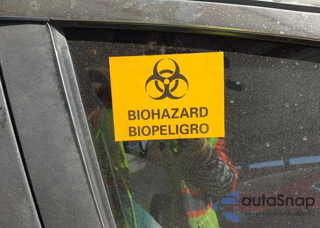 1N4AA5AP4EC483062: 43573403