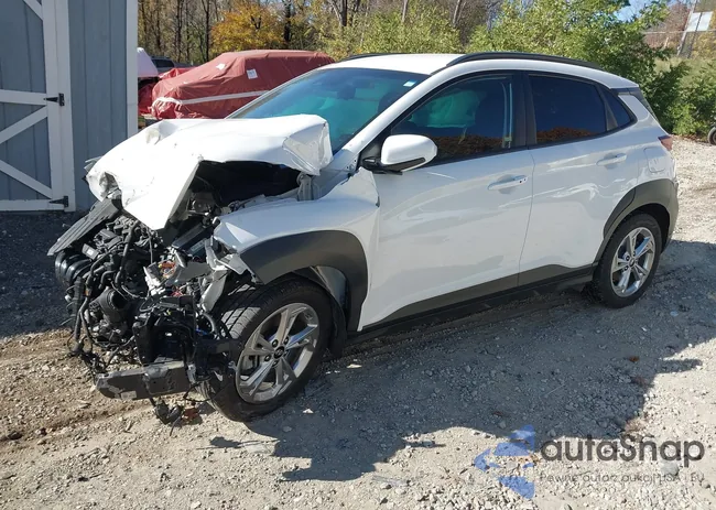 KM8K6CAB3NU889056: 43573049