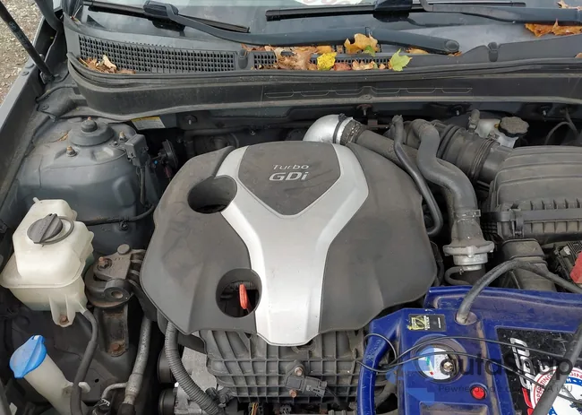 5NPEC4AB8CH441662: 43575168