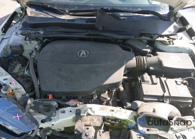 19UUB3F60JA006130: 43576666