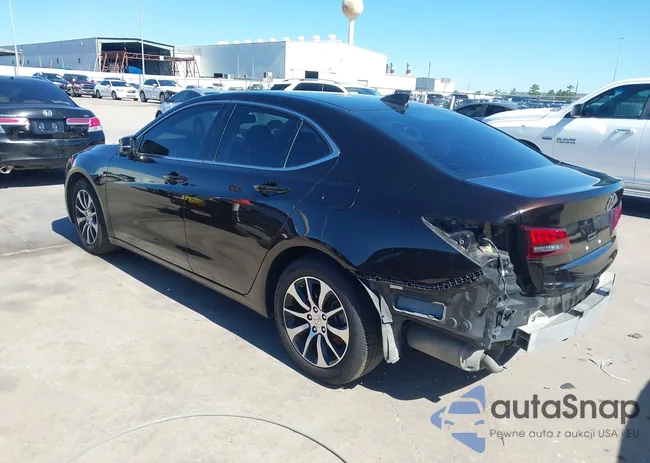 19UUB1F31FA009071: 43577408