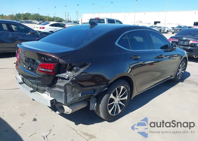 19UUB1F31FA009071: 43577408