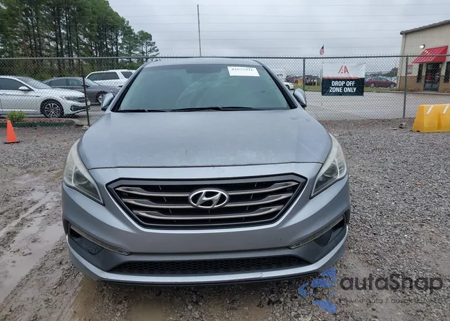 5NPE34AF2GH315452: 43577916