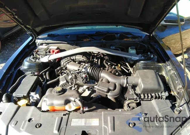 1ZVBP8AM3E5324491: 43578612