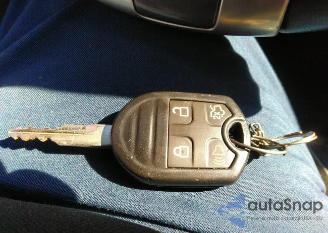 1ZVBP8AM3E5324491: 43578612