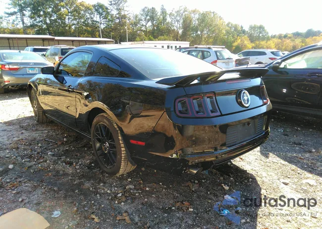 1ZVBP8AM3E5324491: 43578612