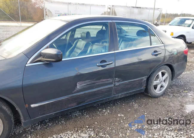 1HGCM56855A055266: 43578804