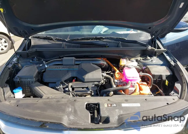 KNDPVCAG0P7084948: 43578038