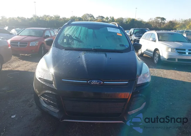 1FMCU0G96FUB68566: 43579439