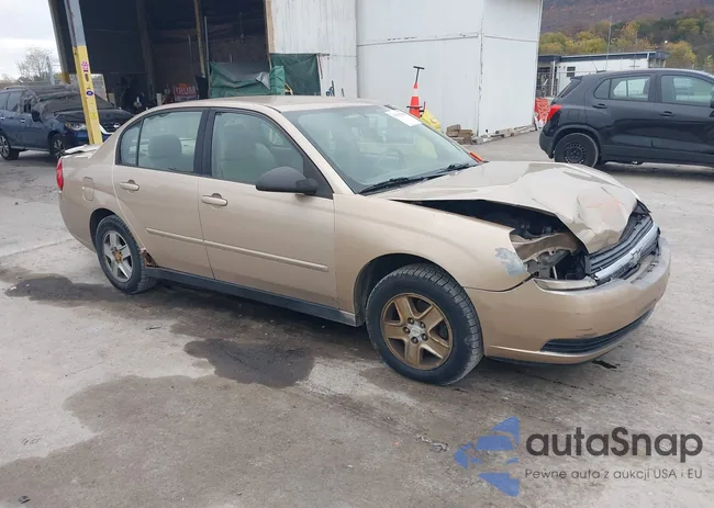 1G1ZT52895F300583: 43579786