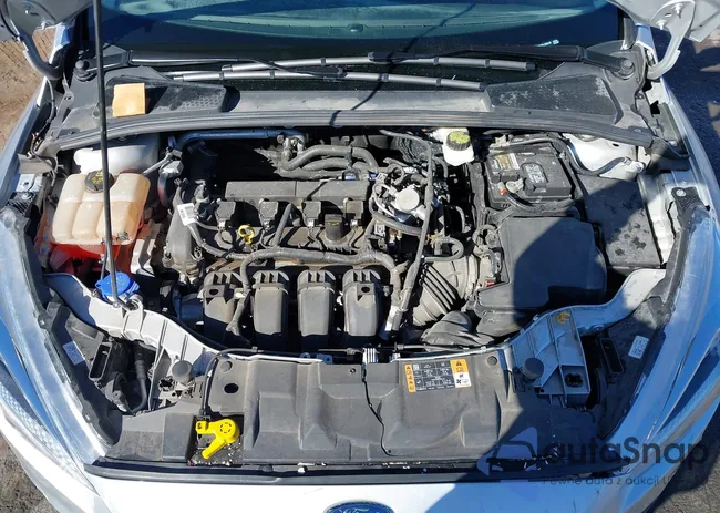 1FADP3F2XHL206448: 43579895