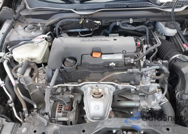 2HGFC2F65LH599682: 43579139