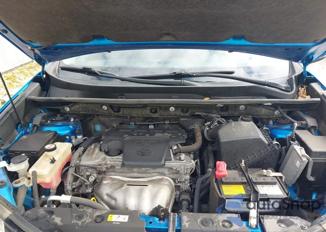 JTMBFREV0JJ254836: 43579225