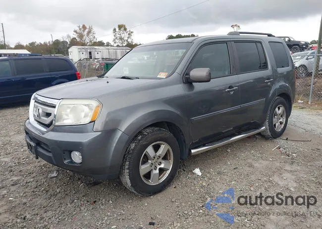 5FNYF4H56AB041020: 43580781