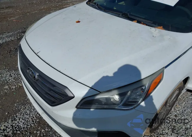 5NPE34AF5FH052694: 43580061