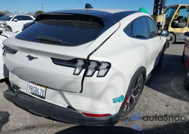 3FMTK1R4XRMA32981: 43581623