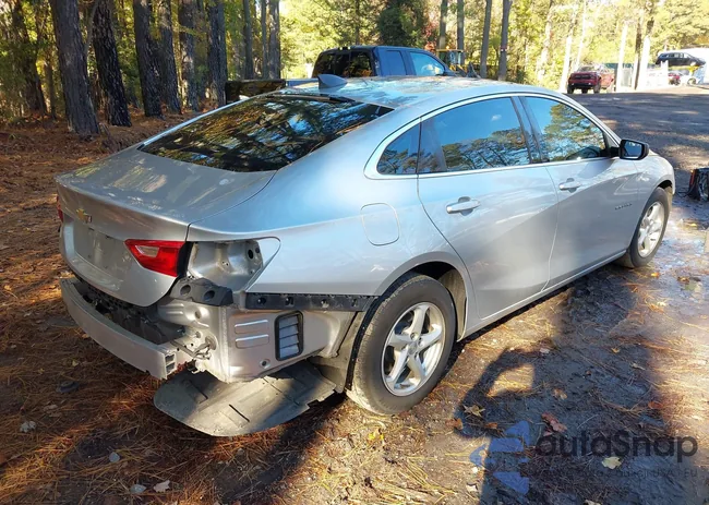 1G1ZB5STXHF194883: 43582481