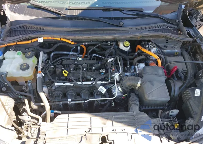 1FMCU0BZ8MUA09195: 43582831