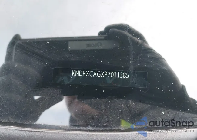 KNDPXCAGXP7011385: 43583547