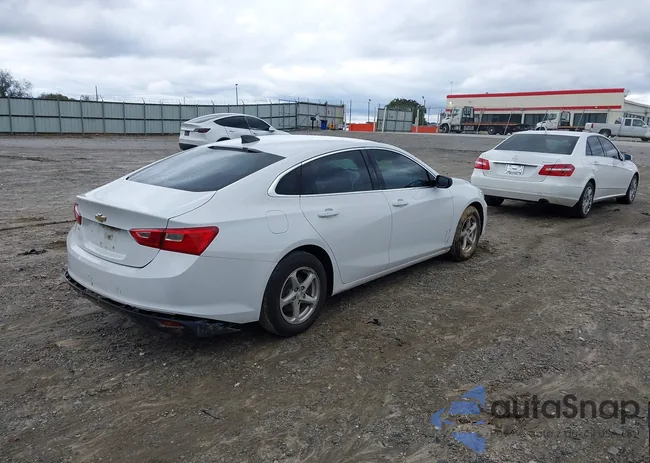 1G1ZB5ST0HF237644: 43583781