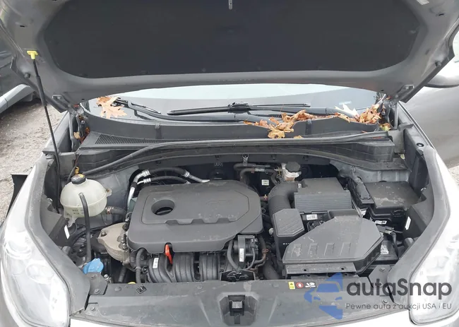 KNDPNCAC6H7179464: 43584800