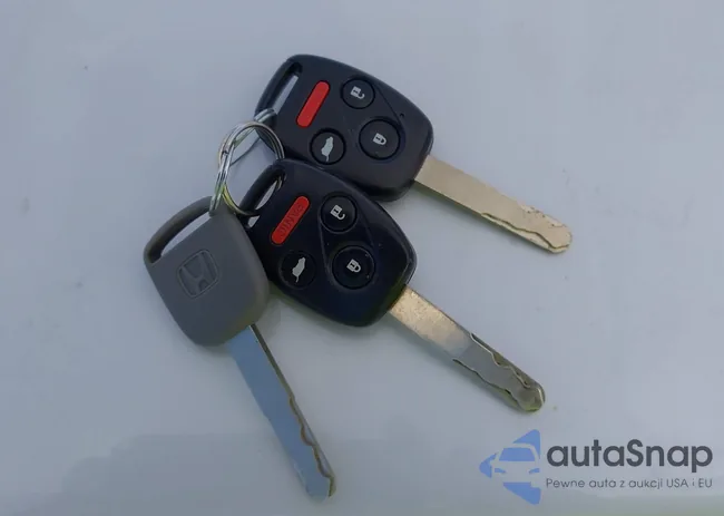 5FNYF4H56AB016828: 43584816