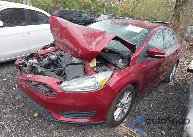 1FADP3K26FL319977: 43585480