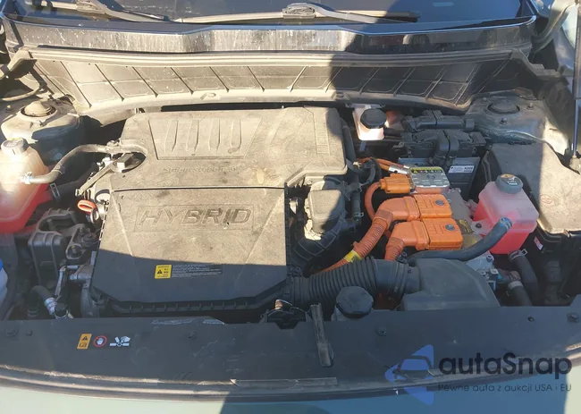 KNDCR3LE9P5037072: 43586342