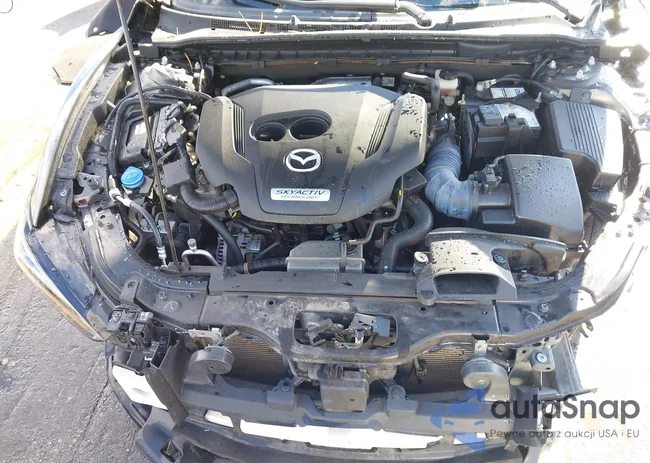 JM1GL1TY2J1314855: 43586500