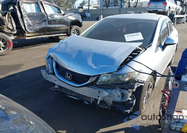 19XFB2F55DE284323: 43588902