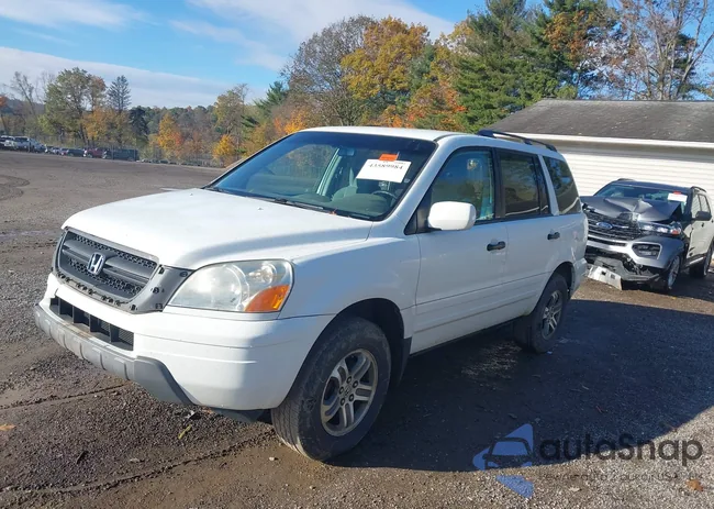 5FNYF18475B059585: 43589984