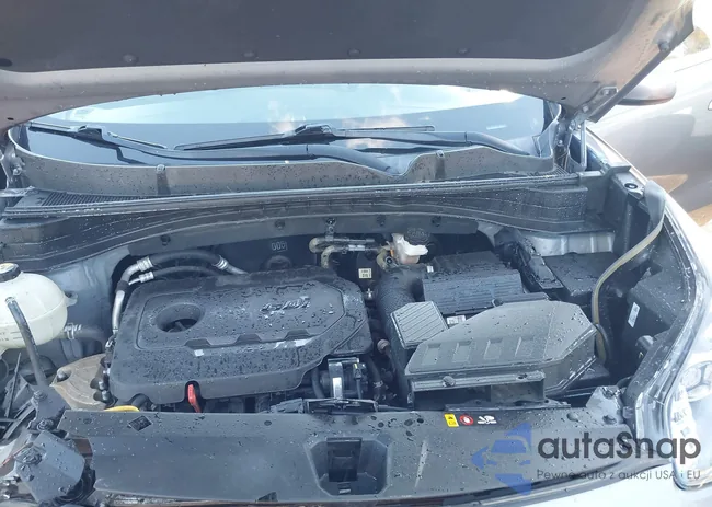 KNDPMCAC5H7188207: 43590285