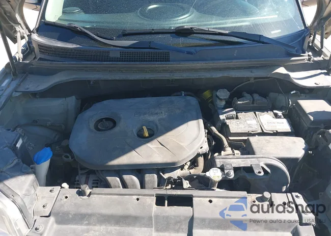 KNDJP3A55H7465209: 43591616