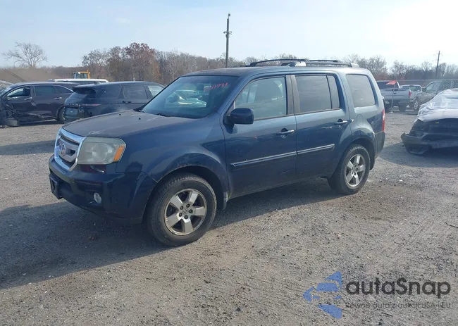 5FNYF4H56BB038698: 43591733