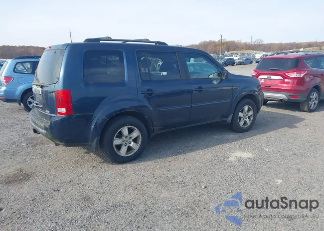 5FNYF4H56BB038698: 43591733