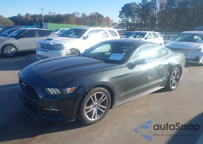 1FA6P8TH3F5348589: 43591745