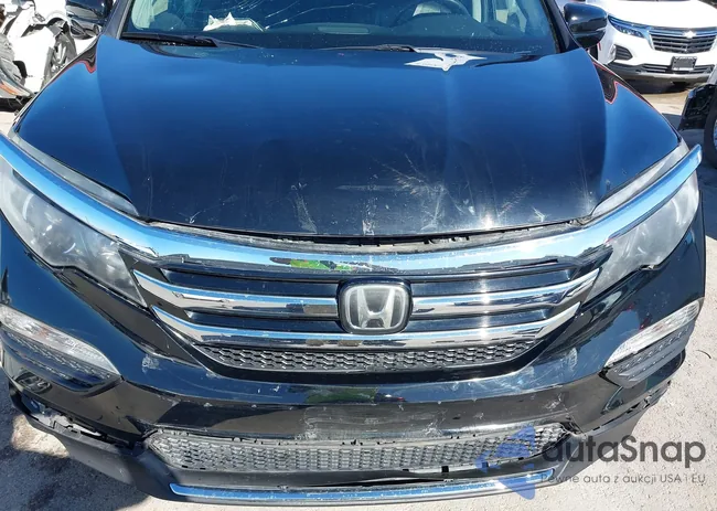 5FNYF6H98HB065053: 43592434