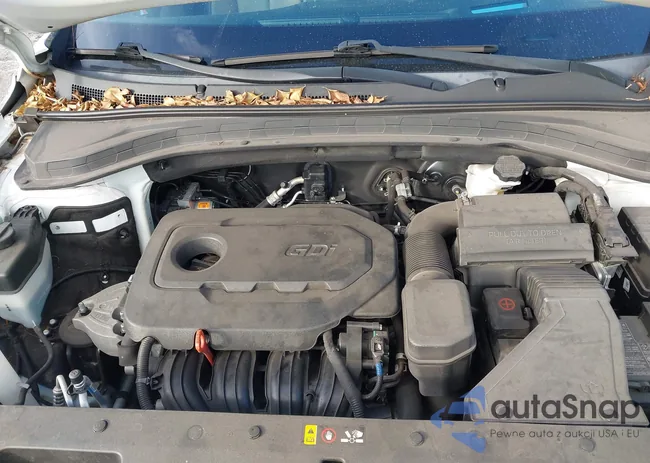 5NMS53AD2LH208995: 43592669