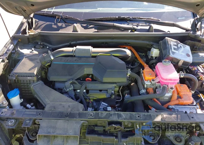 KNDPVCAG9P7110091: 43593557