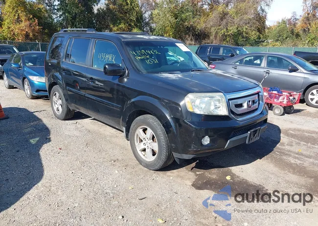 5FNYF48519B054186: 43594836