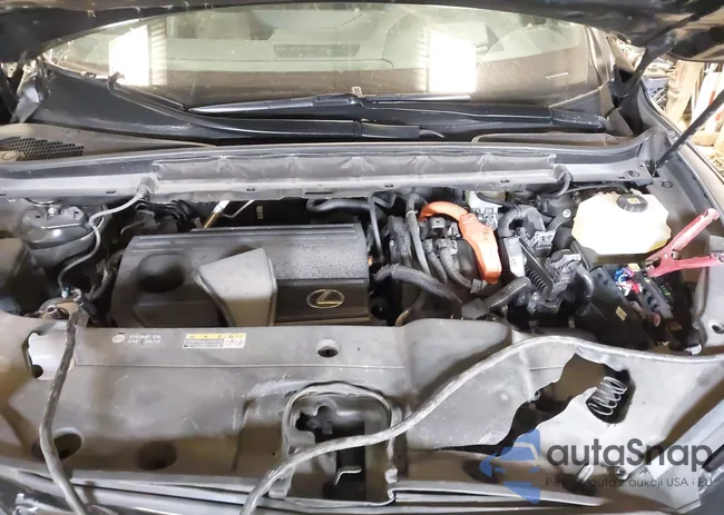 2T2BBMCAXPC005166: 43595149