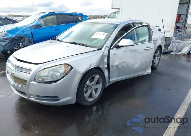 1G1ZC5E07CF229841: 43595157