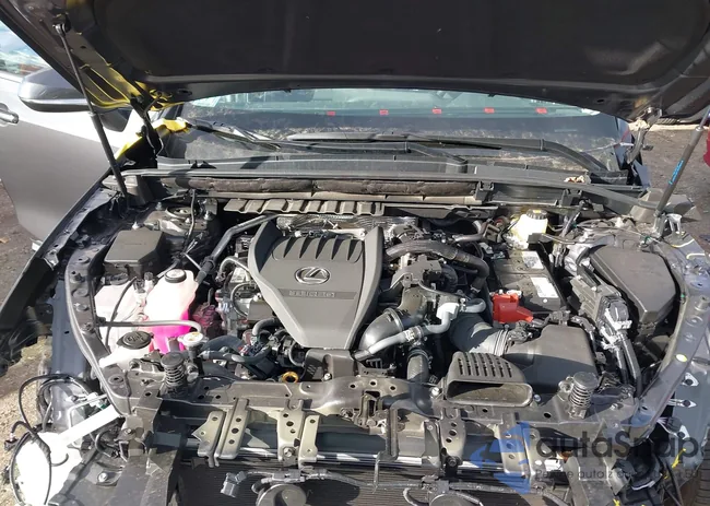 2T2GGCEZ5SC091872: 43596676