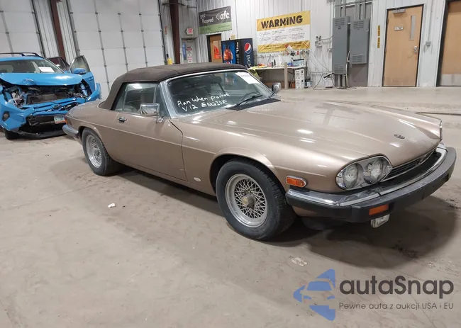 SAJNV5845JC146973: 43596831