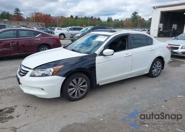 1HGCP2F80BA091772: 43595991