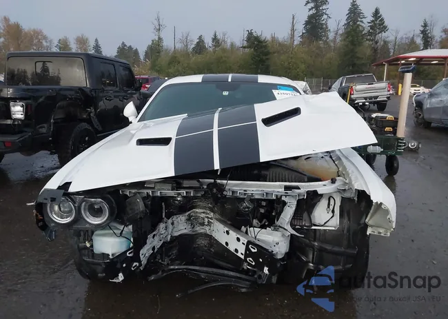 2C3CDZAG6LH231524: 43597341