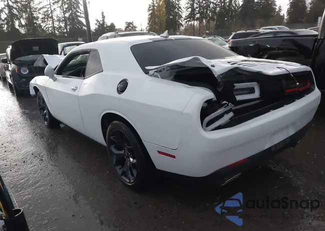 2C3CDZAG6LH231524: 43597341