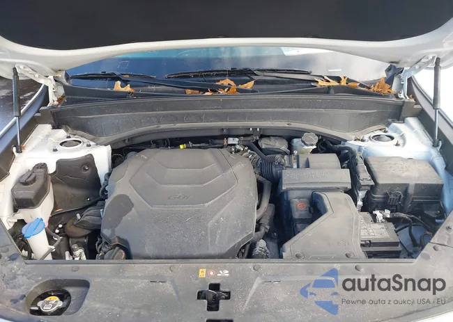 5XYP24GC4RG455330: 43596996