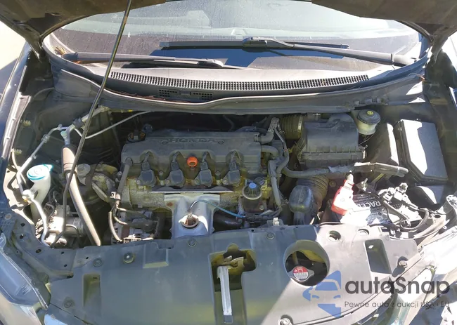 2HGFB2F59EH525937: 43598619