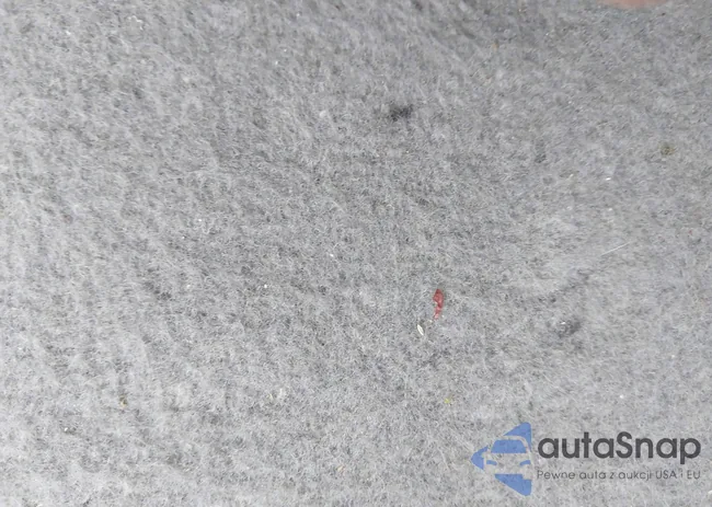 1FADP3E20GL365995: 43599447